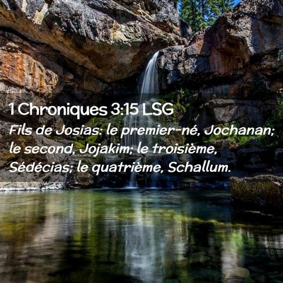 Picture 02 - 1 Chroniques 3:15 LSG - Fils de Josias: le premier-né, Jochanan; le - Bible Verse Picture