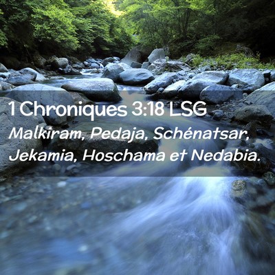 Picture 02 - 1 Chroniques 3:18 LSG - Malkiram, Pedaja, Schénatsar, Jekamia, Hoschama - Bible Verse Picture