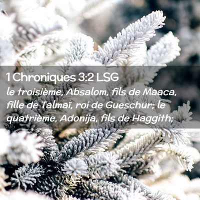 Picture 02 - 1 Chroniques 3:2 LSG - le troisième, Absalom, fils de Maaca, fille de - Bible Verse Picture