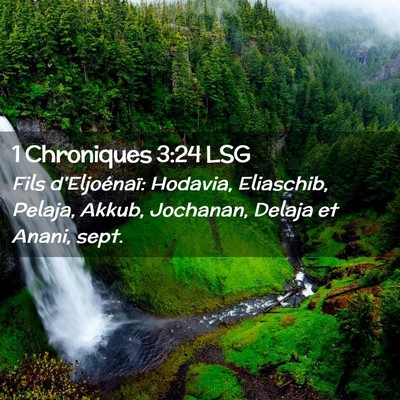 Picture 02 - 1 Chroniques 3:24 LSG - Fils d'Eljoénaï: Hodavia, Eliaschib, Pelaja, - Bible Verse Picture
