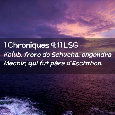 Picture 02 - 1 Chroniques 4:11 LSG - Kelub, frère de Schucha, engendra Mechir, qui - Bible Verse Picture