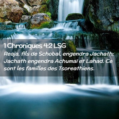 Picture 02 - 1 Chroniques 4:2 LSG - Reaja, fils de Schobal, engendra Jachath; Jachath - Bible Verse Picture