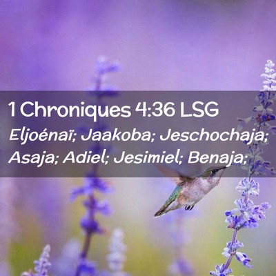 Picture 02 - 1 Chroniques 4:36 LSG - Eljoénaï; Jaakoba; Jeschochaja; Asaja; Adiel; - Bible Verse Picture