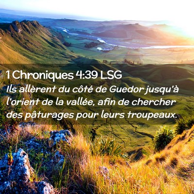 Picture 02 - 1 Chroniques 4:39 LSG - Ils allèrent du côté de Guedor jusqu'à - Bible Verse Picture