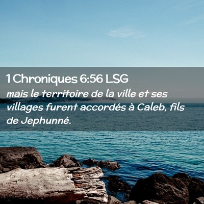 Picture 02 - 1 Chroniques 6:56 LSG - mais le territoire de la ville et ses villages - Bible Verse Picture