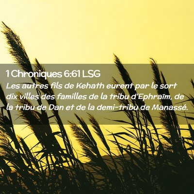 Picture 02 - 1 Chroniques 6:61 LSG - Les autres fils de Kehath eurent par le sort dix - Bible Verse Picture