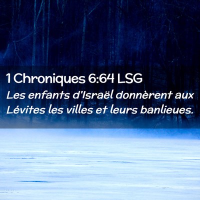 Picture 02 - 1 Chroniques 6:64 LSG - Les enfants d'Israël donnèrent aux Lévites les - Bible Verse Picture