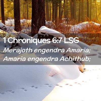 Picture 02 - 1 Chroniques 6:7 LSG - Merajoth engendra Amaria; Amaria engendra - Bible Verse Picture