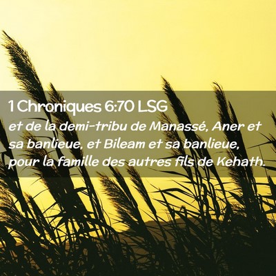 Picture 02 - 1 Chroniques 6:70 LSG - et de la demi-tribu de Manassé, Aner et sa - Bible Verse Picture