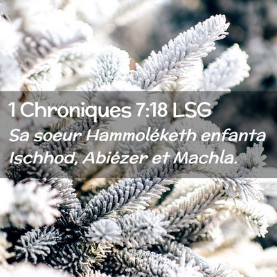 Picture 02 - 1 Chroniques 7:18 LSG - Sa soeur Hammoléketh enfanta Ischhod, Abiézer - Bible Verse Picture