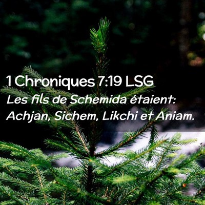 Picture 02 - 1 Chroniques 7:19 LSG - Les fils de Schemida étaient: Achjan, Sichem, - Bible Verse Picture