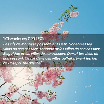Picture 02 - 1 Chroniques 7:29 LSG - Les fils de Manassé possédaient Beth-Schean et - Bible Verse Picture