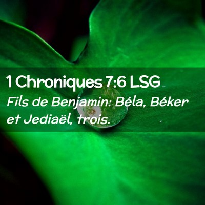 Picture 02 - 1 Chroniques 7:6 LSG - Fils de Benjamin: Béla, Béker et Jediaël, - Bible Verse Picture