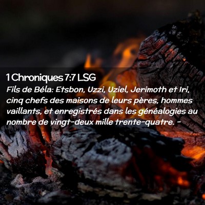 Picture 02 - 1 Chroniques 7:7 LSG - Fils de Béla: Etsbon, Uzzi, Uziel, Jerimoth et - Bible Verse Picture