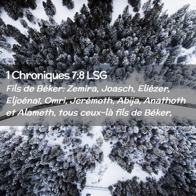 Picture 02 - 1 Chroniques 7:8 LSG - Fils de Béker: Zemira, Joasch, Eliézer, - Bible Verse Picture