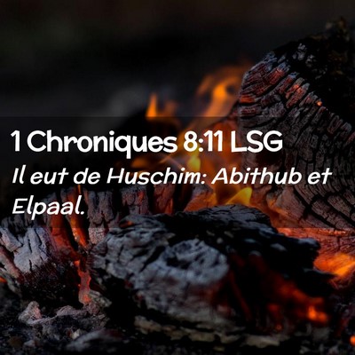 Picture 02 - 1 Chroniques 8:11 LSG - Il eut de Huschim: Abithub et - Bible Verse Picture