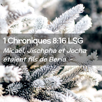 Picture 02 - 1 Chroniques 8:16 LSG - Micaël, Jischpha et Jocha étaient fils de - Bible Verse Picture