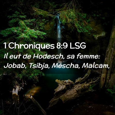 Picture 02 - 1 Chroniques 8:9 LSG - Il eut de Hodesch, sa femme: Jobab, Tsibja, - Bible Verse Picture