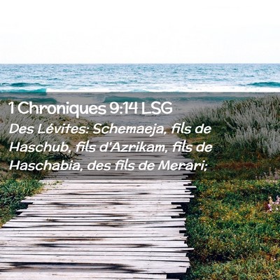 Picture 02 - 1 Chroniques 9:14 LSG - Des Lévites: Schemaeja, fils de Haschub, fils - Bible Verse Picture