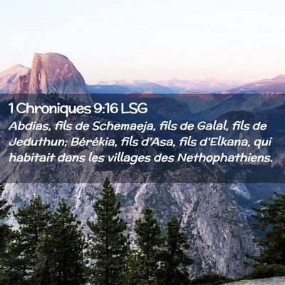 Picture 02 - 1 Chroniques 9:16 LSG - Abdias, fils de Schemaeja, fils de Galal, fils de - Bible Verse Picture