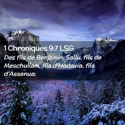 Picture 02 - 1 Chroniques 9:7 LSG - Des fils de Benjamin: Sallu, fils de Meschullam, - Bible Verse Picture