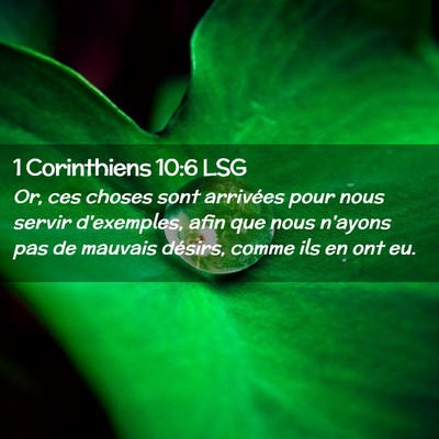 Picture 02 - 1 Corinthiens 10:6 LSG - Or, ces choses sont arrivées pour nous servir - Bible Verse Picture