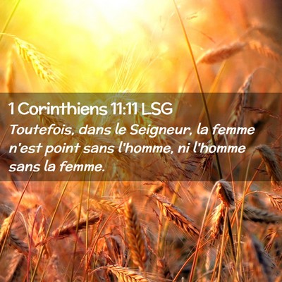 Picture 02 - 1 Corinthiens 11:11 LSG - Toutefois, dans le Seigneur, la femme n'est point - Bible Verse Picture