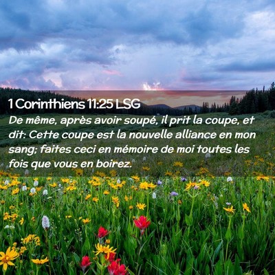 Picture 02 - 1 Corinthiens 11:25 LSG - De même, après avoir soupé, il prit la coupe, - Bible Verse Picture