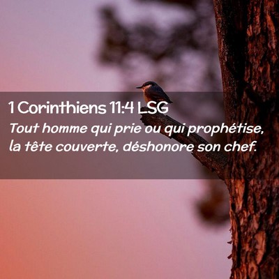 Picture 02 - 1 Corinthiens 11:4 LSG - Tout homme qui prie ou qui prophétise, la tête - Bible Verse Picture