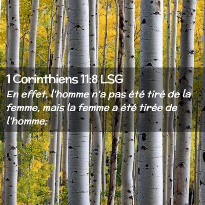 Picture 02 - 1 Corinthiens 11:8 LSG - En effet, l'homme n'a pas été tiré de la - Bible Verse Picture