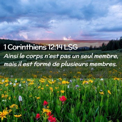 Picture 02 - 1 Corinthiens 12:14 LSG - Ainsi le corps n'est pas un seul membre, mais il - Bible Verse Picture