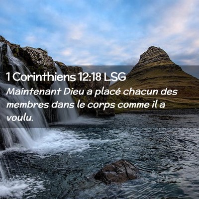 Picture 02 - 1 Corinthiens 12:18 LSG - Maintenant Dieu a placé chacun des membres dans - Bible Verse Picture