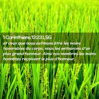 Picture 02 - 1 Corinthiens 12:23 LSG - et ceux que nous estimons être les moins - Bible Verse Picture