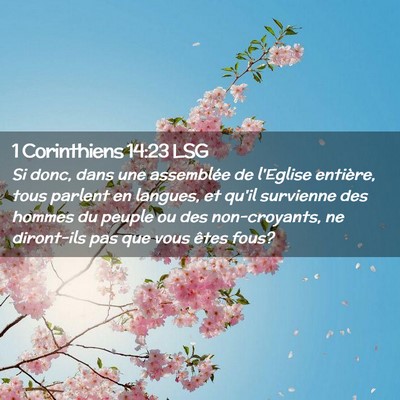 Picture 02 - 1 Corinthiens 14:23 LSG - Si donc, dans une assemblée de l'Eglise - Bible Verse Picture
