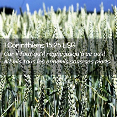 Picture 02 - 1 Corinthiens 15:25 LSG - Car il faut qu'il règne jusqu'à ce qu'il ait - Bible Verse Picture