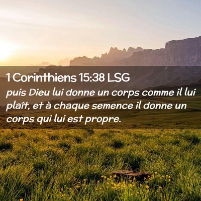 Picture 02 - 1 Corinthiens 15:38 LSG - puis Dieu lui donne un corps comme il lui plaît, - Bible Verse Picture