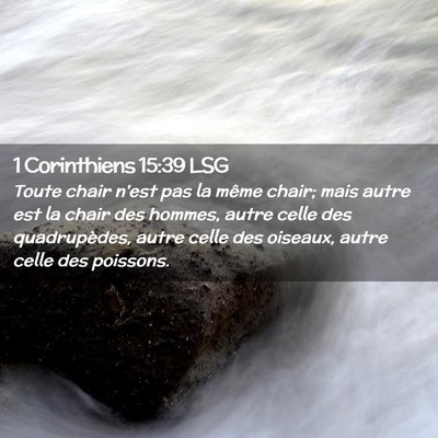 Picture 02 - 1 Corinthiens 15:39 LSG - Toute chair n'est pas la même chair; mais autre - Bible Verse Picture
