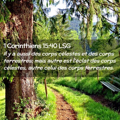 Picture 02 - 1 Corinthiens 15:40 LSG - Il y a aussi des corps célestes et des corps - Bible Verse Picture