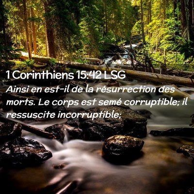 Picture 02 - 1 Corinthiens 15:42 LSG - Ainsi en est-il de la résurrection des morts. Le - Bible Verse Picture