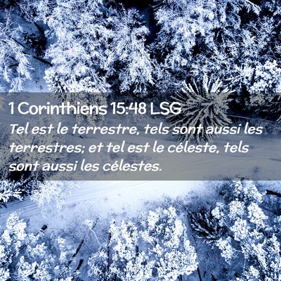 Picture 02 - 1 Corinthiens 15:48 LSG - Tel est le terrestre, tels sont aussi les - Bible Verse Picture