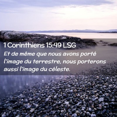 Picture 02 - 1 Corinthiens 15:49 LSG - Et de même que nous avons porté l'image du - Bible Verse Picture