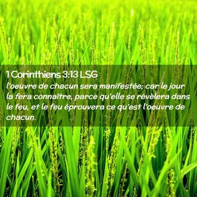 Picture 02 - 1 Corinthiens 3:13 LSG - l'oeuvre de chacun sera manifestée; car le jour - Bible Verse Picture