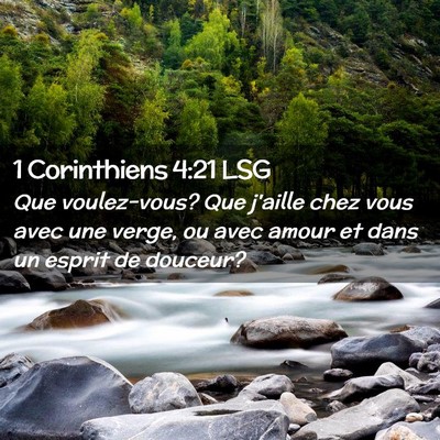 Picture 02 - 1 Corinthiens 4:21 LSG - Que voulez-vous? Que j'aille chez vous avec une - Bible Verse Picture