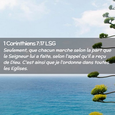 Picture 02 - 1 Corinthiens 7:17 LSG - Seulement, que chacun marche selon la part que le - Bible Verse Picture