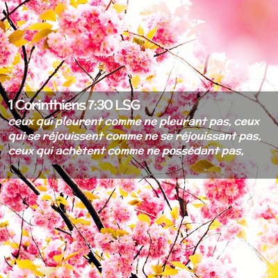 Picture 02 - 1 Corinthiens 7:30 LSG - ceux qui pleurent comme ne pleurant pas, ceux qui - Bible Verse Picture