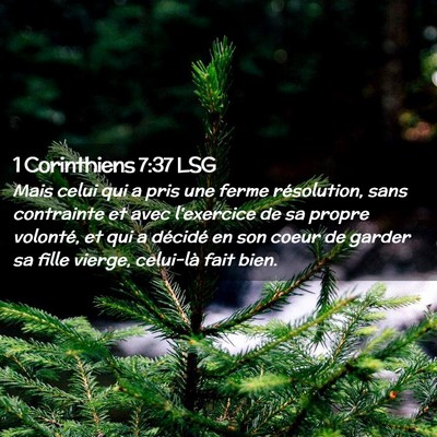 Picture 02 - 1 Corinthiens 7:37 LSG - Mais celui qui a pris une ferme résolution, sans - Bible Verse Picture