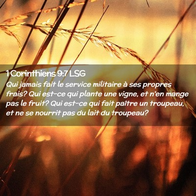 Picture 02 - 1 Corinthiens 9:7 LSG - Qui jamais fait le service militaire à ses - Bible Verse Picture