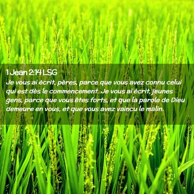 Picture 02 - 1 Jean 2:14 LSG - Je vous ai écrit, pères, parce que vous avez - Bible Verse Picture