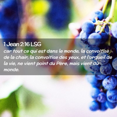Picture 02 - 1 Jean 2:16 LSG - car tout ce qui est dans le monde, la convoitise - Bible Verse Picture