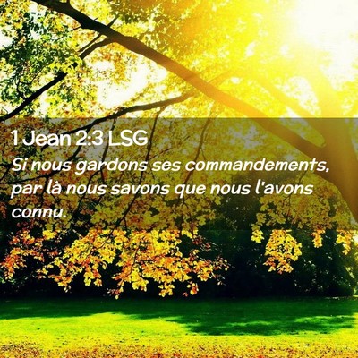 Picture 02 - 1 Jean 2:3 LSG - Si nous gardons ses commandements, par là nous - Bible Verse Picture